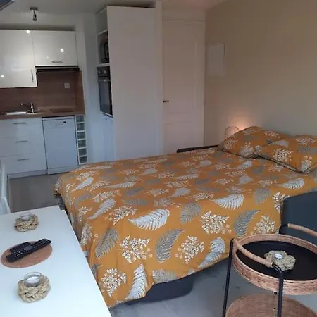 דירה Canape Convertible 2 Pers Avec Jardin Et Parking Clos *